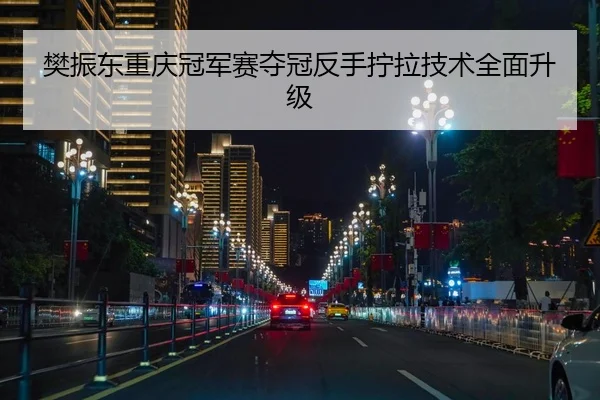 樊振东重庆冠军赛夺冠反手拧拉技术全面升级